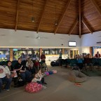 Disability Acceptance Sunday 2026 Liturgies